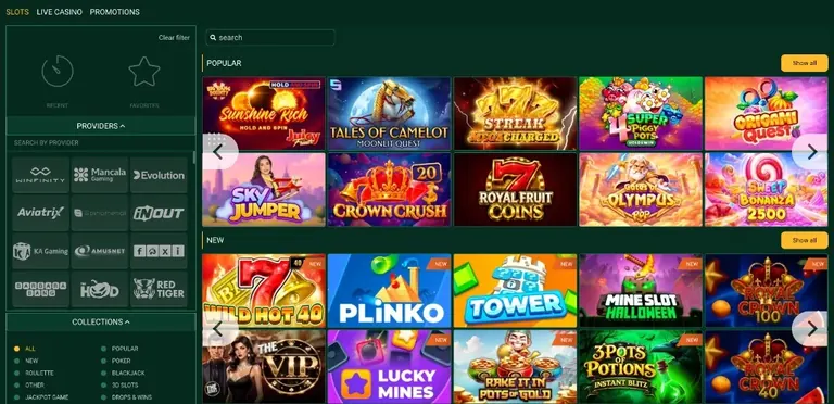 Slots lobby with Popular and New rows, provider filter on the left